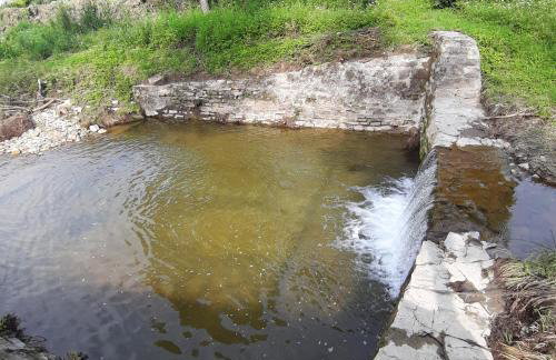 EkoTurystyka Natura Gwiazd - Green Velo - Workation Park - Ziołowy Klimat Bieszczad - Foto 20