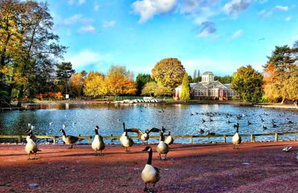 West Park Annex - Central Wolverhampton - Foto 43