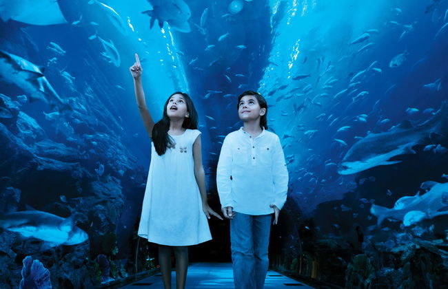 Biglietti per Dubai Aquarium - Foto 1