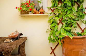 Home Suites - Photo 74