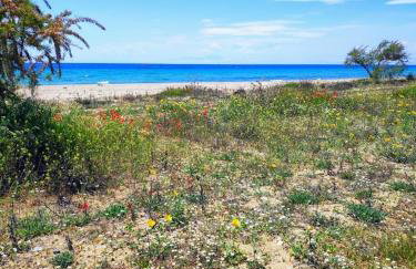 Seaside family Apartment in Paralia Dionisiou - Foto 9