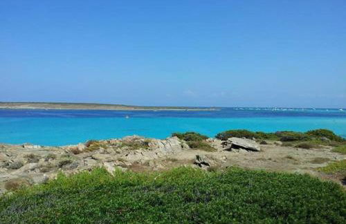 Da Mario & Marianna - Foto 71