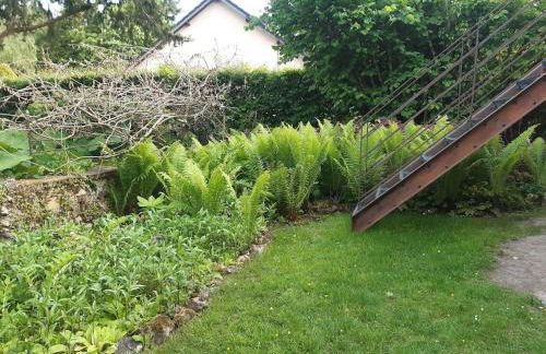 L'atypique du buisson de la gariole - Foto 45