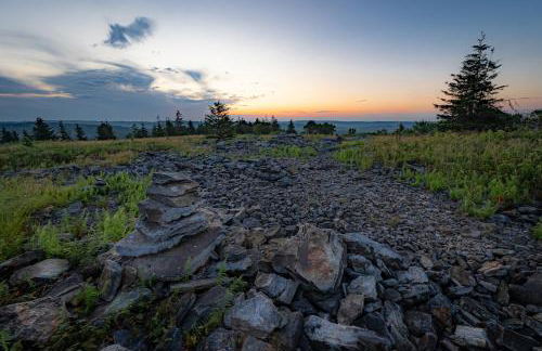 Panorama Point - Sauna, hot tub, theater room - Photo 63