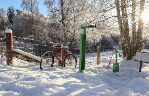 Osprey Apartment - Foto 29