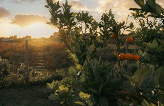 Martina's Vineyard - villa - Foto 9