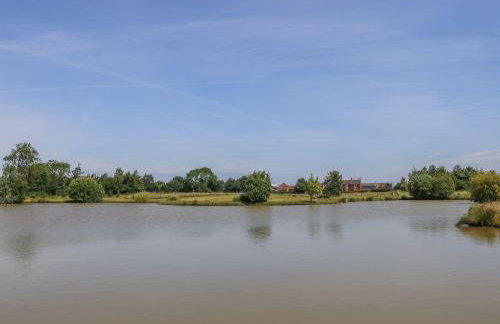 Kingfisher - Foto 24