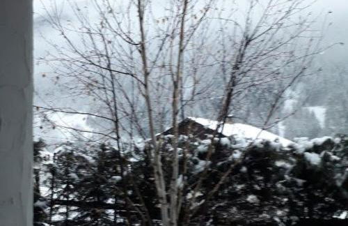 Apartment mit Bergblick by Interhome - Foto 37