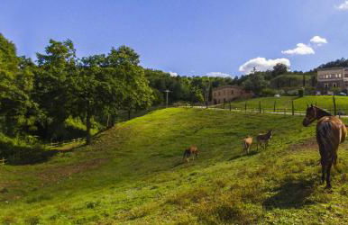 Agriturismo Rio Coverino - Foto 12