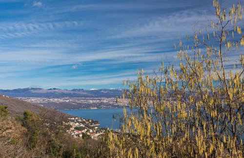 Comfy And Warm Ap With Balcony Surrounded With Beautiful Nature - Foto 6