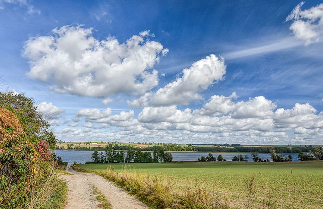 Skarlinówka - Foto 44