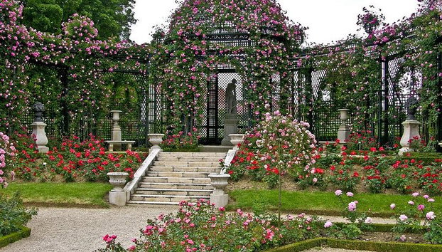 Hermosa historia y atracciones de Niza - Tour privado - Foto 3