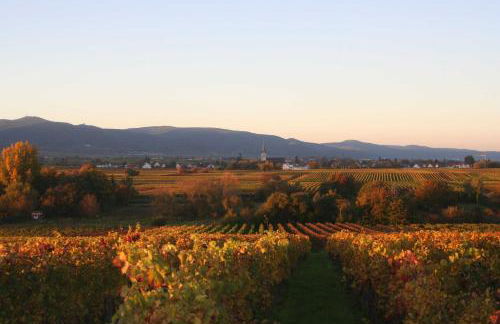 Ferienwohnung Spatzennest in Edesheim - Foto 13