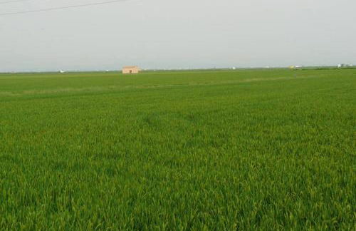 Anna, embrujo de la naturaleza - Foto 35