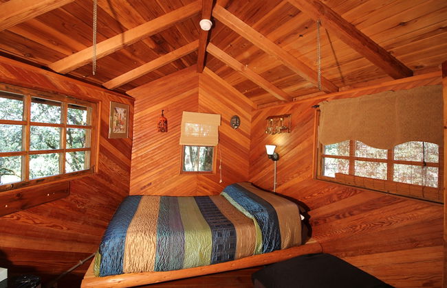 Out 'N' About Treehouse Treesort - Photo 39