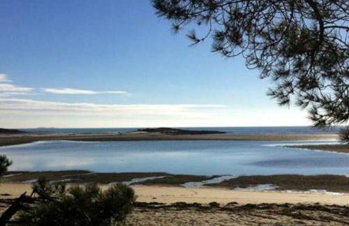 Maison avec jardin clos. Animaux acceptés - Wifi - Proche plages de la Trinité sur Mer et Carnac - Foto 20