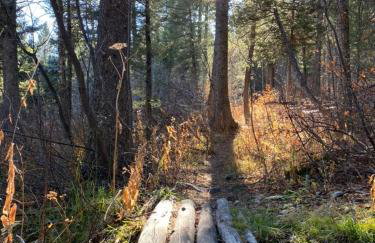 Jackson Hole Ski Condo Yellowstone Grand Teton - Foto 24