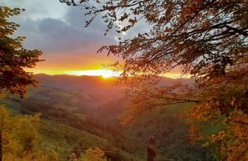 Ondarbaso Apartamentos Rurales III - Foto 25