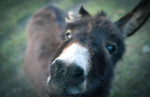 Agriturismo Terra e Cielo - Photo 27