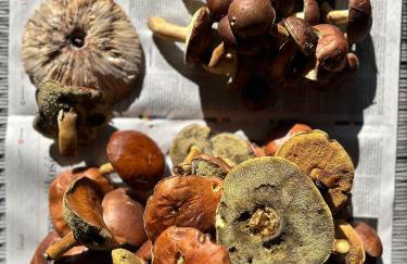 Stodoła Drwęck - Foto 28