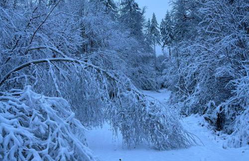 Wohnen auf Zeit - Foto 15