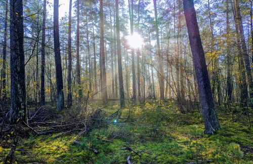Uhlpartment - im Herzen von Uelzen - Foto 42