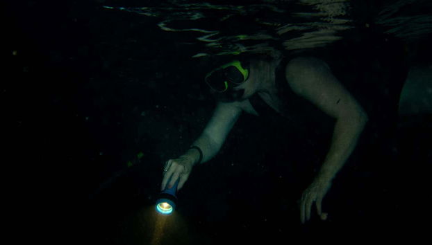 Snorkeling notturno