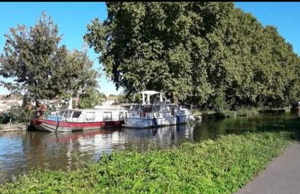 Appartement Indépendant Chagny - Foto 46