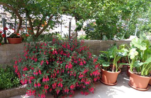 Apartments Nada - Foto 10