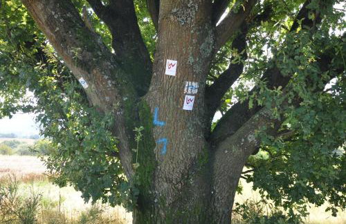 Geräumige 2-Z WOHNUNG im GRÜNEN, GARTEN, TERRASSE, RUHIG, NATUR, PHANTASTISCHER BLICK! - Foto 56