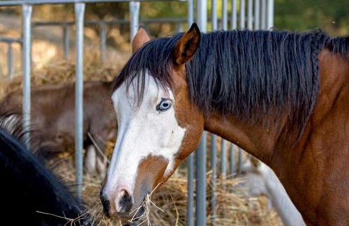 Agriturismo Cascina Trevo - Foto 42