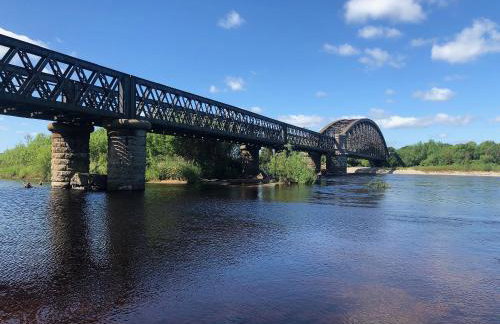 March Brown - Foto 14