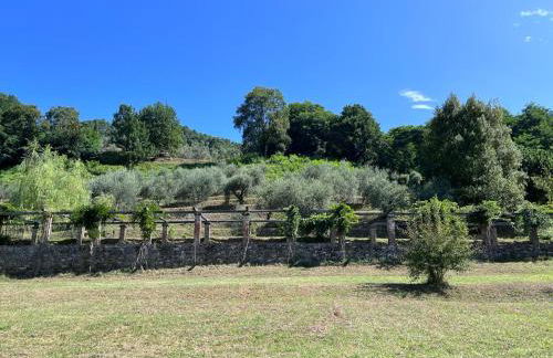 Podere il Giardino - Casale Rustico degli Ulivi con piscina e parco - Lucca - Foto 28