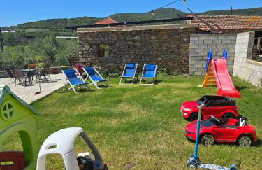 Olive Tree's House - Photo 20