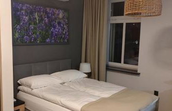 Apartamenty Comfort - Foto 51