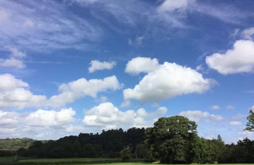 Quay Cottage Llandeilo - Photo 16