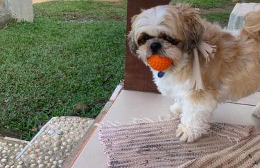 Flat Boa Vista Beach - Foto 22