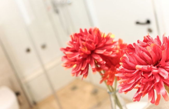 Logierhaus-Greetsiel - Foto 24