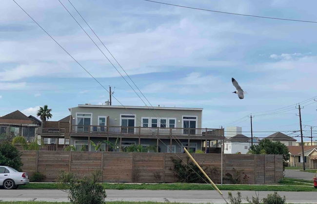 Sea Quarius - Foto 30