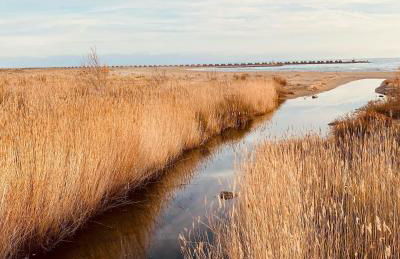 Charming apartment in a duplex with garden & balcony - Foto 18