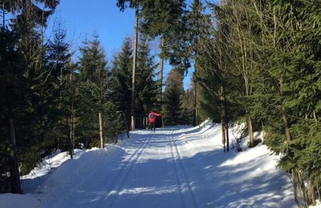 Yellow House Modern Retreat - Foto 13