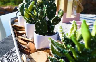 Los vagones - Photo 39