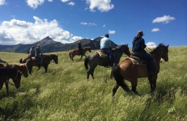 Brijwasi homestay - Foto 12