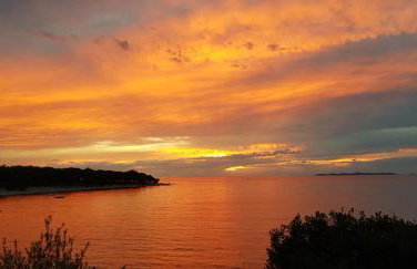 Captain's House Primošten - feel the sea - Photo 42