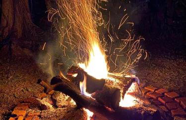 Sítio Mato Dentro - Foto 48