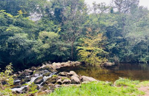 Mountain View Shepherds Hut - Foto 39