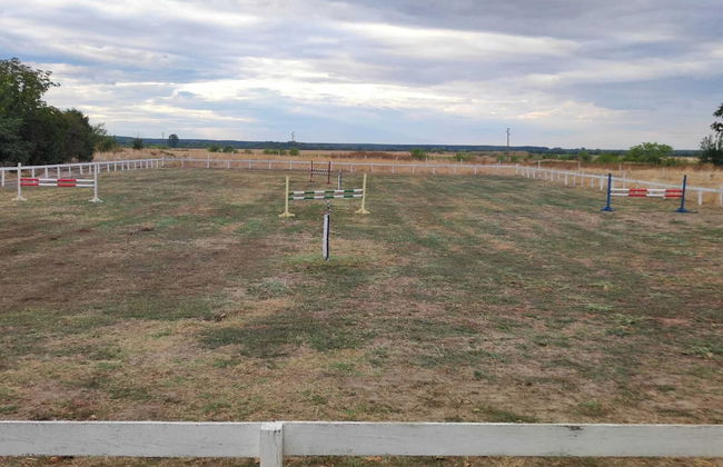 ESCUS HORSES - Foto 26