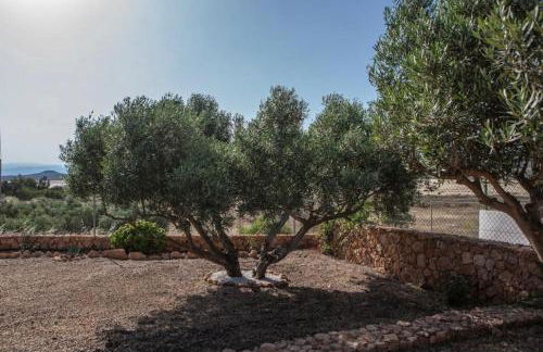 El Rincón de los Albaricoques - Photo 28