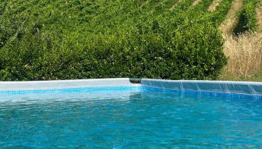 Agriturismo Angeli Sognanti - Foto 3