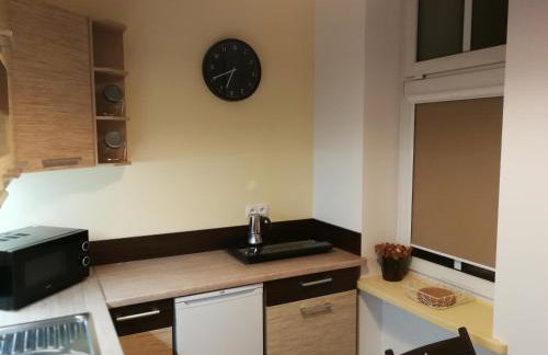 Apartament Parkowy - Foto 11